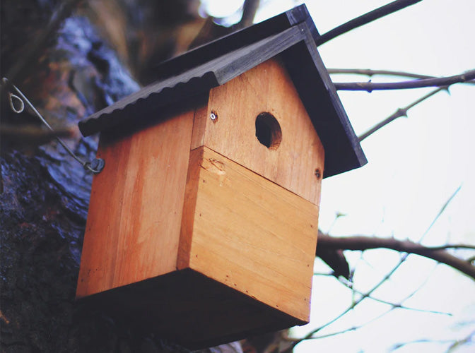 Wild Bird Nest Boxes : The how-to guide!