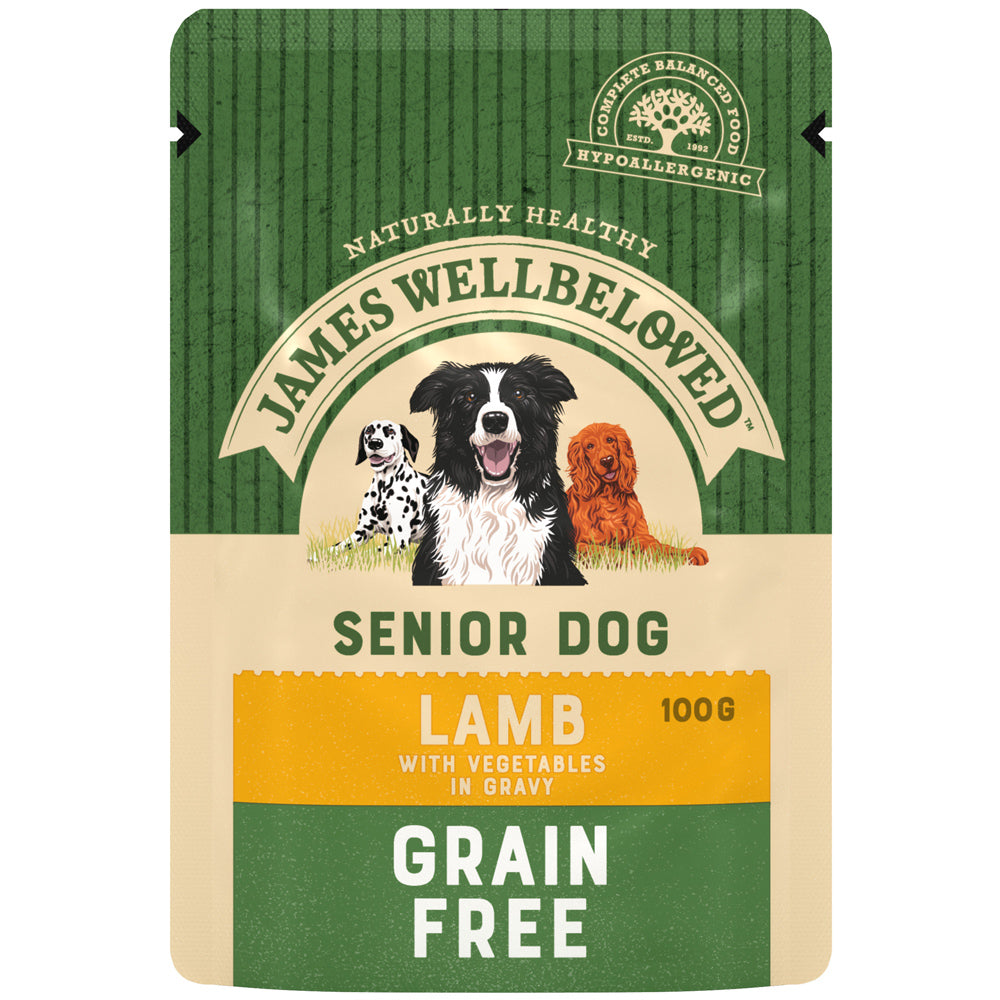 James Wellbeloved Dog Senior Grain Free Lamb Pouch Wet Dog Food