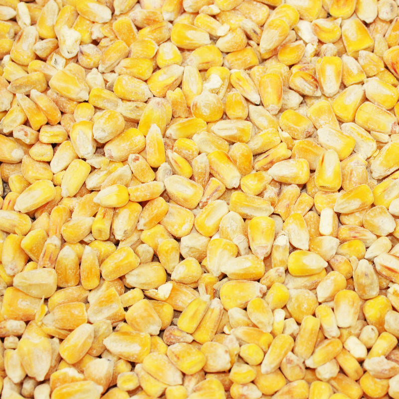 20kg Whole Maize