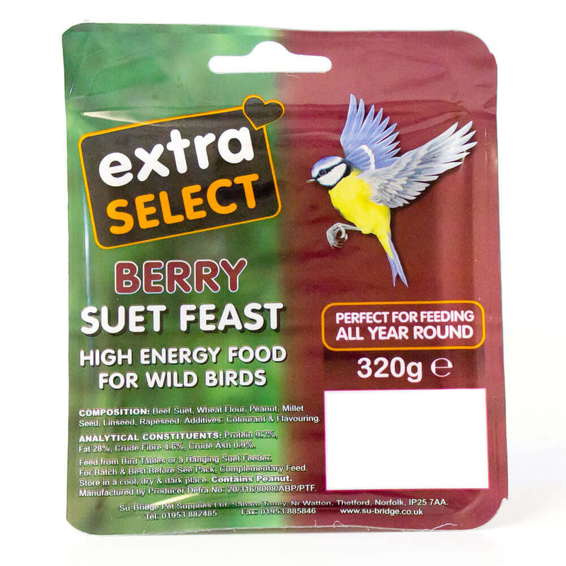 Extra Select Berry Suet Block for wild birds