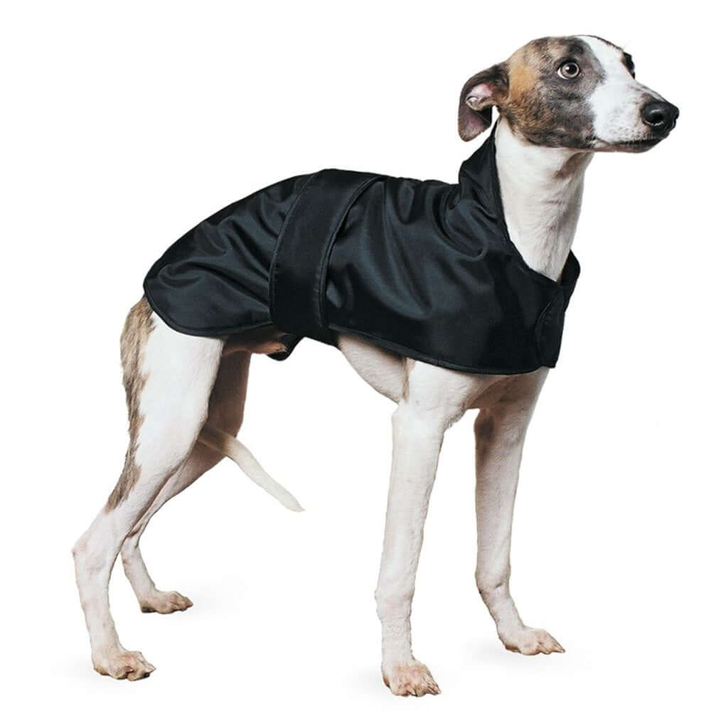 Ancol Muddy Paws Whippet Coat