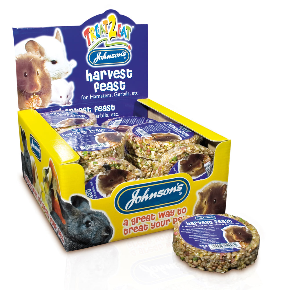 Johnsons Treat 2 Eat Harvest Feast For Hamsters & Gerbils