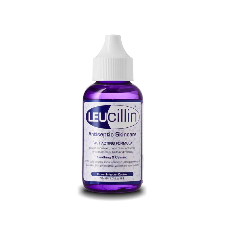 50ml bottle of Leucillin Antibacterial Dropper